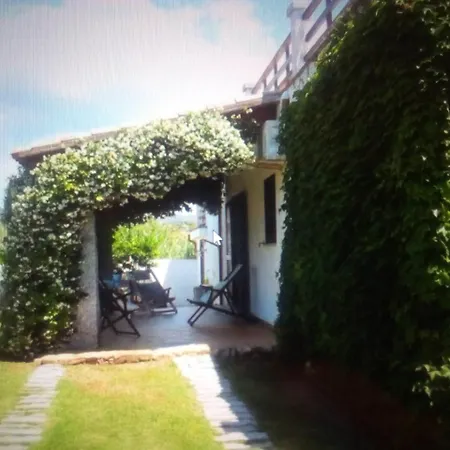 Mirto E Miele -